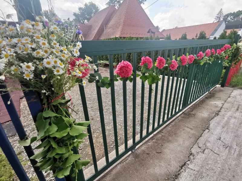 441938301 461098666406806 2412831838415916796 N