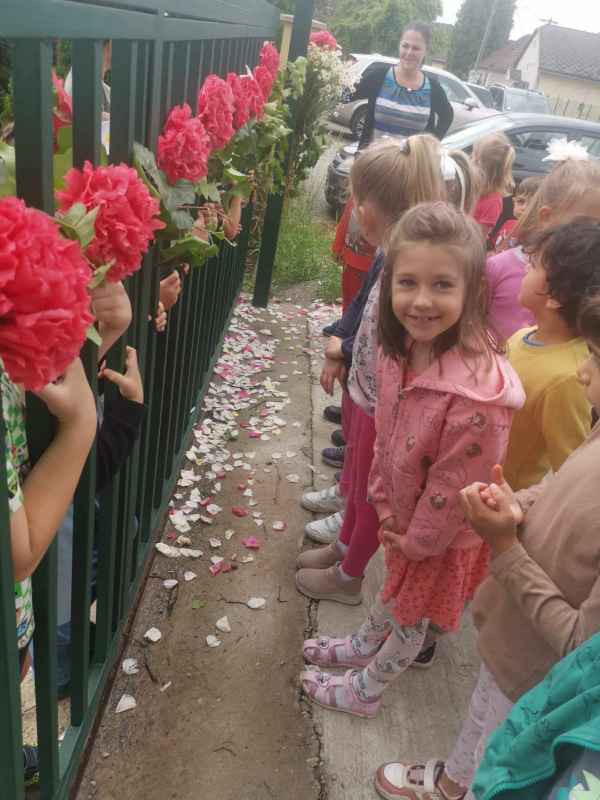 441938301 461098666406806 2412831838415916796 N