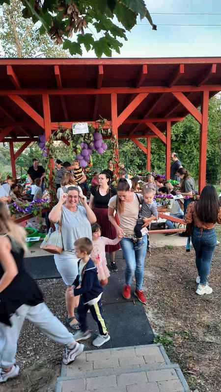 405268791 723289136028001 7039648756666080059 N