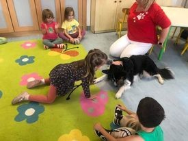 393083636 748868570393504 7640757216320525116 N