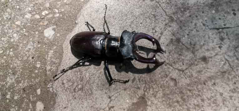 403626308 612213387642341 2224419738745464200 N