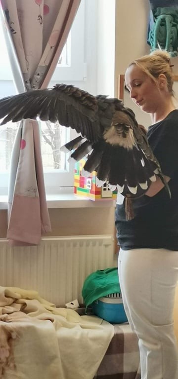 403632772 884977359617094 117867586427685160 N