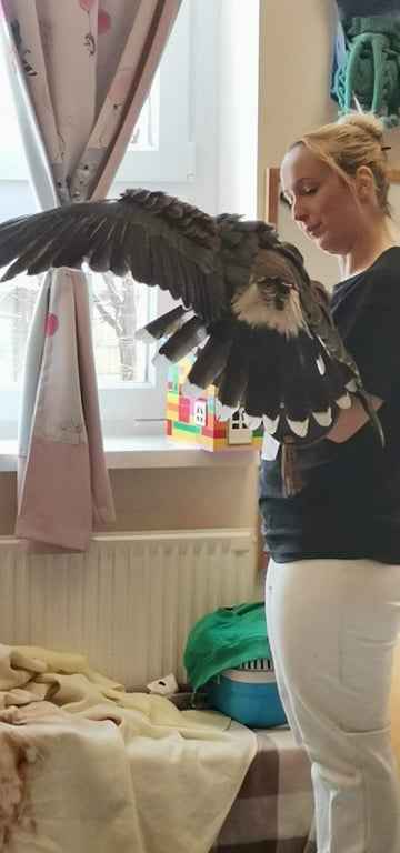 403632772 884977359617094 117867586427685160 N